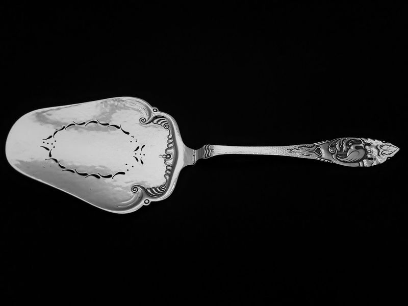 Ibis fiskespade